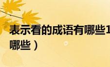 表示看的成语有哪些100个（表示看的成语有哪些）