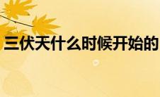 三伏天什么时候开始的(三伏天什么时候结束)