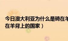 今日澳大利亚为什么是骑在羊背（为什么澳大利亚被称为骑在羊背上的国家）