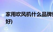 家用吹风机什么品牌好(吹风机家用哪个牌子好)