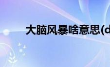 大脑风暴啥意思(dnf冰石有什么用)