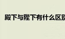 殿下与陛下有什么区别(陛下和殿下的区别)