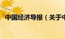 中国经济导报（关于中国经济导报的介绍）
