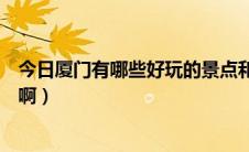今日厦门有哪些好玩的景点和地方（厦门有哪些好玩的地方啊）