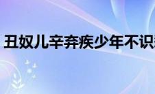 丑奴儿辛弃疾少年不识愁滋味(丑奴儿辛弃疾)