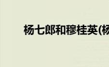 杨七郎和穆桂英(杨六郎大干穆桂英)