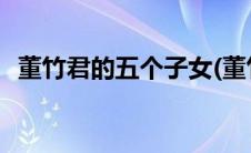 董竹君的五个子女(董竹君的子女在做什么)