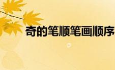 奇的笔顺笔画顺序演示（奇的笔顺）
