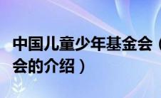 中国儿童少年基金会（关于中国儿童少年基金会的介绍）