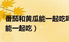 番茄和黄瓜能一起吃吗（番茄和黄瓜为什么不能一起吃）