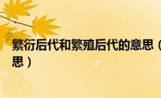 繁衍后代和繁殖后代的意思（关于繁衍后代和繁殖后代的意思）