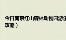 今日南京红山森林动物园游乐场（南京红山森林动物园游玩攻略）