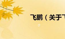 飞鹏（关于飞鹏的介绍）