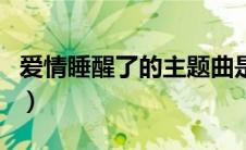 爱情睡醒了的主题曲是叫什么名字（你听过吗）