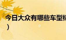 今日大众有哪些车型标志（大众所有车型标志）
