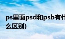 ps里面psd和psb有什么区别(psb和psd有什么区别)