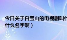 今日关于白宝山的电视剧叫什么名字（白宝山的那部电影叫什么名字啊）