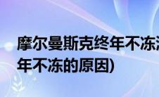 摩尔曼斯克终年不冻港的原因(摩尔曼斯克终年不冻的原因)