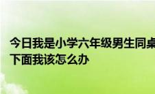 今日我是小学六年级男生同桌是校花。她在上课.把手伸到我下面我该怎么办