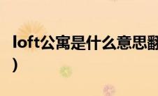 loft公寓是什么意思翻译(loft公寓是什么意思)