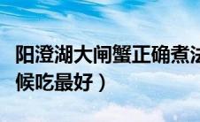 阳澄湖大闸蟹正确煮法（阳澄湖大闸蟹什么时候吃最好）
