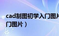 cad制图初学入门图片步骤（cad制图初学入门图片）
