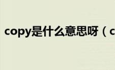 copy是什么意思呀（copy是什么意思中文）