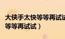 大侠手太快等等再试试什么意思（大侠手太快等等再试试）