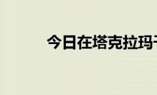 今日在塔克拉玛干用什么车最好