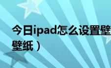 今日ipad怎么设置壁纸图片（ipad怎么设置壁纸）