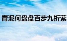 青泥何盘盘百步九折萦岩峦解释(青泥何盘盘)