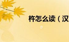 杵怎么读（汉字杵怎么读）