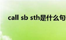 call sb sth是什么句子结构(call sb sth)