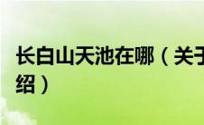 长白山天池在哪（关于长白山天池地理位置介绍）