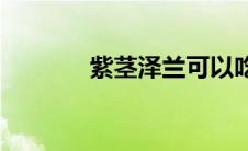 紫茎泽兰可以吃吗(紫茎泽兰)