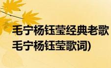 毛宁杨钰莹经典老歌《心雨》歌词(心雨歌词毛宁杨钰莹歌词)