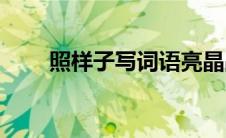 照样子写词语亮晶晶(照样子写词语)