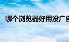 哪个浏览器好用没广告（哪个浏览器好用）