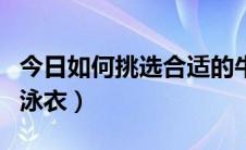 今日如何挑选合适的牛仔裤（如何挑选合适的泳衣）