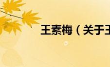 王素梅（关于王素梅的介绍）