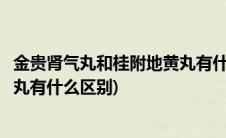 金贵肾气丸和桂附地黄丸有什么区别(金贵肾气丸和桂附地黄丸有什么区别)