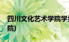 四川文化艺术学院学费多少(四川文化艺术学院)