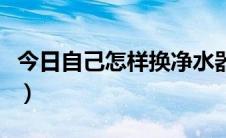 今日自己怎样换净水器滤芯（自己怎样换窗纱）