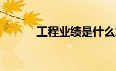 工程业绩是什么意思(工程业绩)