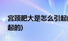 宫颈肥大是怎么引起的啊(宫颈肥大是怎么引起的)