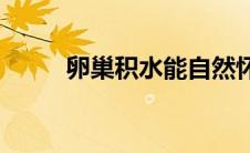 卵巢积水能自然怀孕吗(卵巢积水)