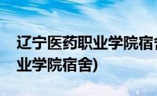 辽宁医药职业学院宿舍本溪校区(辽宁医药职业学院宿舍)