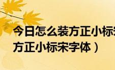 今日怎么装方正小标宋字体（如何添加字体 方正小标宋字体）