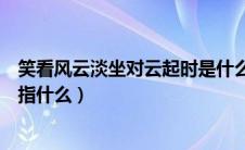 笑看风云淡坐对云起时是什么意思（笑看风云淡坐对云起时指什么）