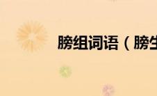 膀组词语（膀生字组词意思）